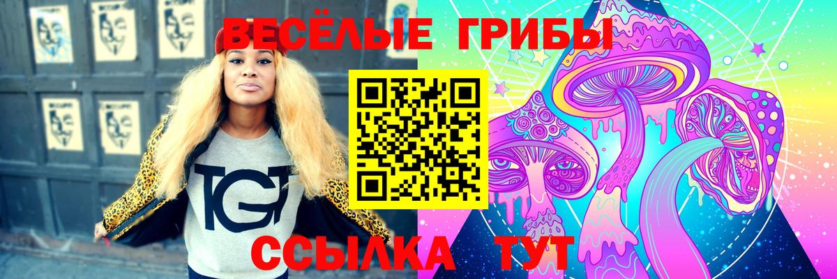 Галлюциногенные грибы прущие грибы Ишим